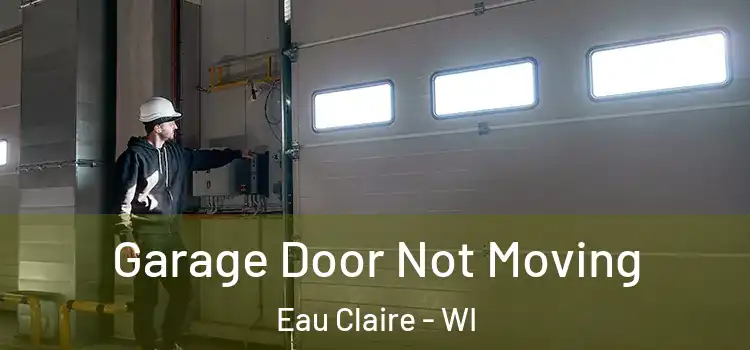 Garage Door Not Moving Eau Claire - WI